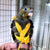 Adjustable Parrot Harness & Flying Leash for Outdoor Training