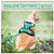 Adjustable Escape-Proof Cat Harness and Leash Set