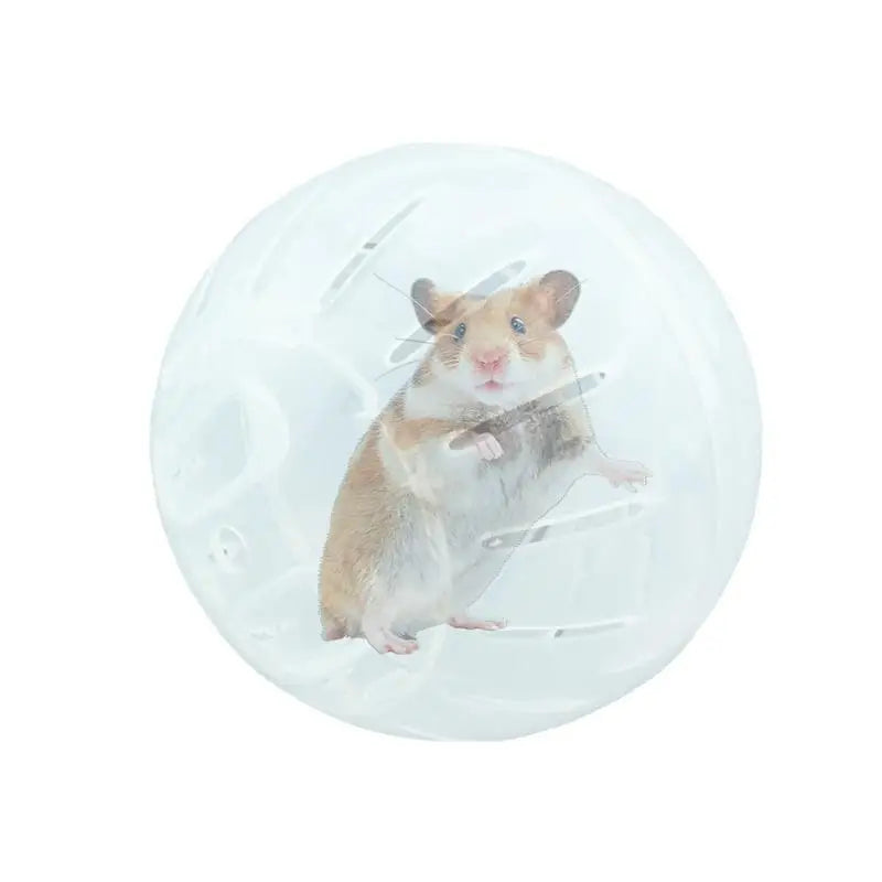 Hamster Jogging Ball - Safe Exercise Wheel for Pets