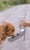 Portable Water Cup & Feeder for Dogs - Travel Water Bottle
