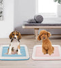 Removable Dog Potty Training Tray – Easy-to-Clean Litter Box for Small Dogs