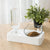 2-in-1 Pet Feeder with Stainless Steel Bowls & Automatic Water Dispenser