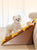 2/3-Step Dog Stairs – Anti-Slip Pet Ramp Ladder for Small Dogs & Cats