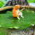 Fishing Cat Aquarium Decoration - Small Fish Tank Landscaping Ornament