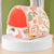 Cute Winter Hamster House & Small Pet Bed