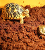 650g Tortoise Fiber Bedding - Natural Coconut Substrate for Reptiles & Terrariums
