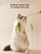 Kimpets Cat & Dog Teasing Stick - Feather Tail with Long Pole