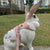 Newest Cute Rabbit Harness & Leash Set - Outdoor Walking Pet Supplies