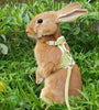 Newest Cute Rabbit Harness & Leash Set - Outdoor Walking Pet Supplies