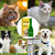 2ml Pet Flea & Tick Drops – Long-Lasting Insect Repellent for Dogs & Cats