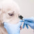 Puppy Joy Double-Sided Tear Stain Remover Brush