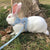 Newest Cute Rabbit Harness & Leash Set - Outdoor Walking Pet Supplies