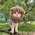 Funny Pet Wig – Lion Mane Hat for Cats & Dogs