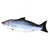 Plush Catnip Fish Toy - Non-Electric Interactive Tease Toy for Cats