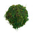 Reptile Hideout & Basking Platform for Turtles, Lizards, and More