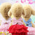 Dog Summer Dress & Cat Lace Skirt - Cute Stripe Princess Apparel for Chihuahua & Puppies