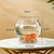 Clear Round Fish Tank - Portable Small Aquarium Bowl for Ornamental Fish