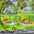 Hanging Glass Fish Tank - Round/Rectangle Aquarium with Rack Holder
