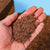 Reptile Coconut Fiber Substrate - Natural Bedding for Tortoises, Lizards & Terrariums