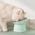 Anti-Choking Pet Food & Water Bowl with Tilted Design for Dogs & Cats