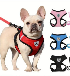 Pet Walking Chest Strap & Traction Rope