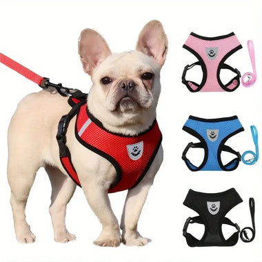 Pet Walking Chest Strap & Traction Rope
