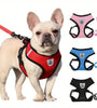 Pet Walking Goggles & Chest Strap – Breathable Mesh Collar with Traction Rope