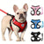 Pet Walking Chest Strap & Traction Rope