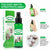 100ml Flea & Tick Prevention – Powerful Control for Cats & Dogs, Including Flea Eggs