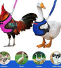 Adjustable Pet Harness Leash for Chickens, Small Dogs, Ducks, and Geese – Comfortable and Breathable Vest