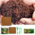 Reptile Coconut Fiber Substrate - Pressed Coir Bedding for Tortoises, Lizards & Terrariums