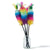 Colorful Feather Teaser Wand - Interactive Cat Toy for Play & Exercise