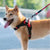 Adjustable Reflective Dog Harness & Leash Set for Small & Large Dogs