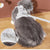 Adjustable Cat & Dog Harness with Leash - Cute Mesh Vest