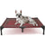 Elevated Waterproof Dog Bed, Off-Floor Design, Easy to Clean, Indoor/Outdoor Use, XL, Grey