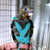 Adjustable Parrot Harness & Flying Leash for Outdoor Training