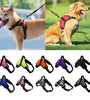 Adjustable Reflective Dog Harness & Leash Set for Small & Large Dogs