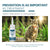 Anti-Flea & Tick Drops – Insect Repellent for Cats & Dogs, Skin Care & Lice Control