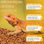 Natural Coconut Chip Bedding - Compressed Coco Husk Substrate for Reptiles & Terrariums