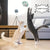 Interactive Cat Toy Balls - Stretchable Springs & Rolling Caged Rats