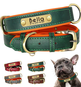 Customized Leather Dog Collar – Soft Padded with Engraved ID Nameplate for All Dog Sizes