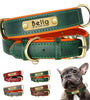 Customized Leather Dog Collar – Soft Padded with Engraved ID Nameplate for All Dog Sizes
