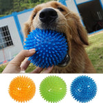 Squeaky Pet Dog & Cat Toy - TPR Chew Ball for Teeth Cleaning & Training