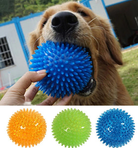 Squeaky Pet Dog & Cat Toy - TPR Chew Ball for Teeth Cleaning & Training