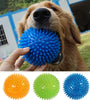 Squeaky Pet Dog & Cat Toy - TPR Chew Ball for Teeth Cleaning & Training