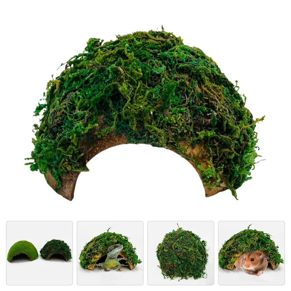 Reptile Hideout & Basking Platform for Turtles, Lizards, and More