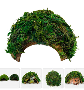 Reptile Hideout & Basking Platform for Turtles, Lizards, and More