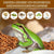 Natural Coconut Chip Bedding - Compressed Coco Husk Substrate for Reptiles & Terrariums
