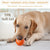 Smart Interactive Dog Toy Ball - USB Rechargeable Moving & Bouncing