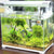 LCD Digital Aquarium Thermometer (Fish Tank Temperature Meter)